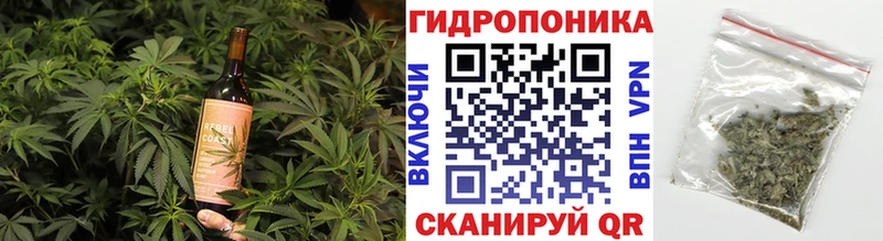 Canna-Cookies конопля  Красногорск 