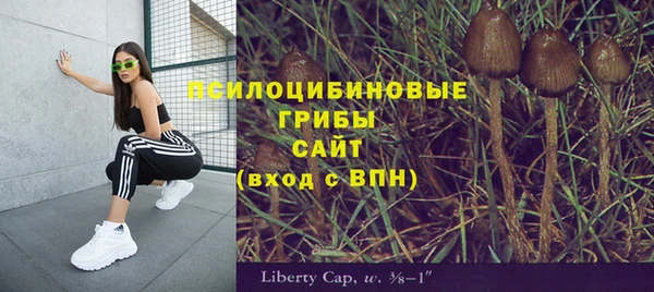 гашик Михайловка