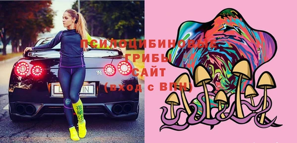 гашик Михайловка