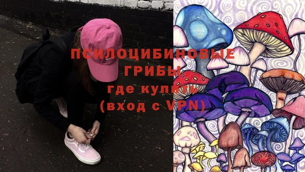 гашик Михайловка